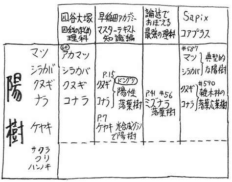 陽樹 陰樹 一覧|陰樹と陽樹の違いと代表的な樹木 